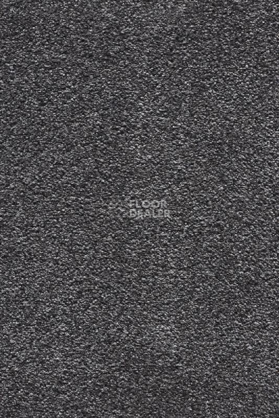 Ковролин AW Masquerade Moana 97 фото 1 | FLOORDEALER